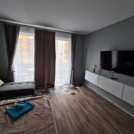 Garsoniera Zebra Apartment Brasov Luaran gambar
