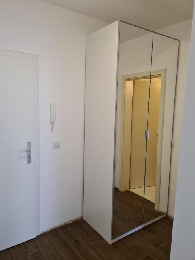 Garsoniera Zebra Apartment Brasov Luaran gambar