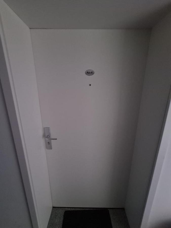 Garsoniera Zebra Apartment Brasov Luaran gambar
